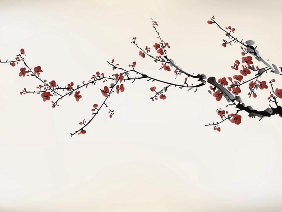 Fototapeta Gałąź sakury z czerwonymi kwiatami