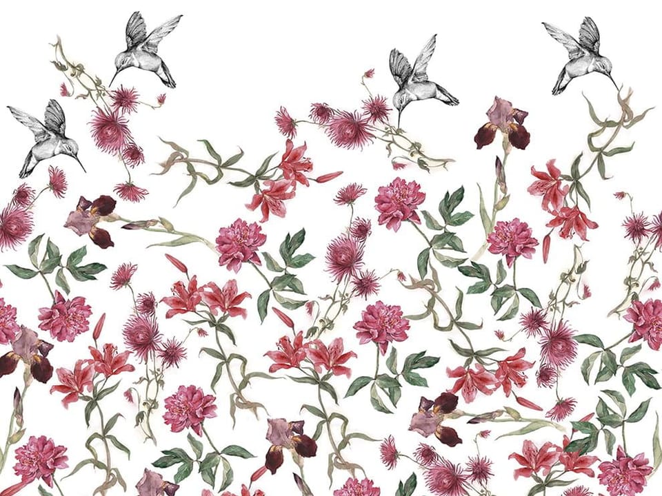 Fototapeta Kwiaty i kolibry na białym tle