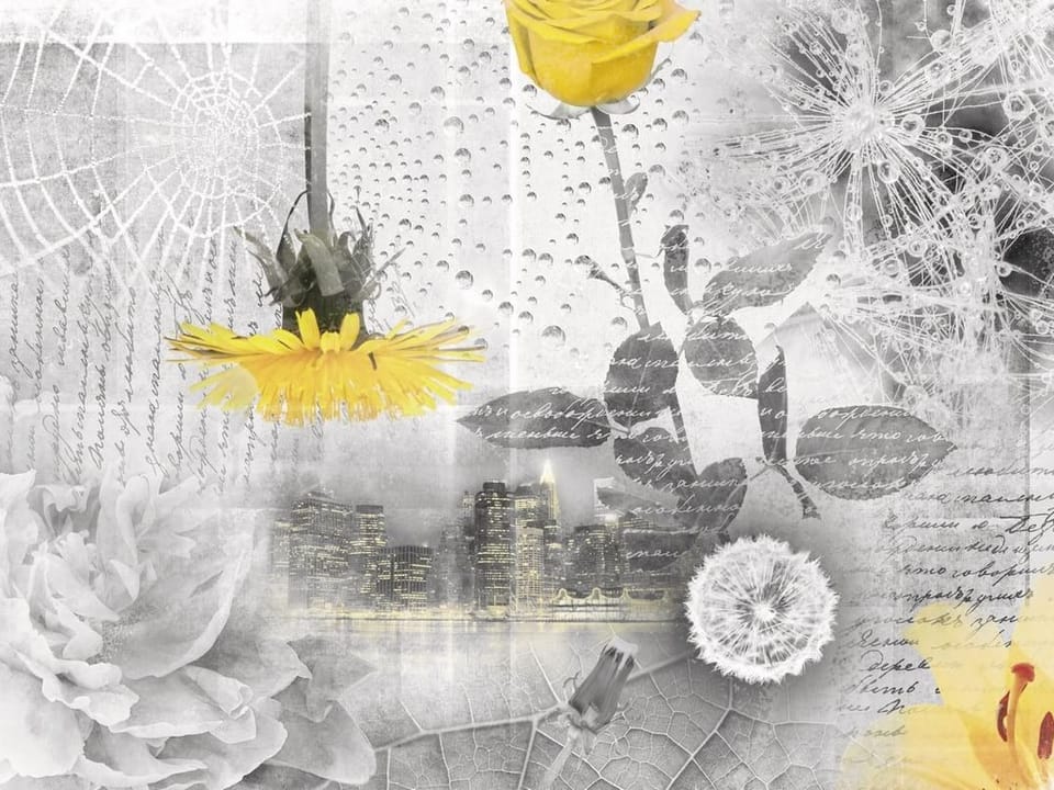 Fototapeta Żółty kwiat na tle miasta