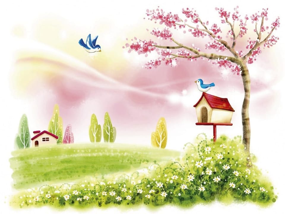 Fototapeta Drzewo z różowymi kwiatami