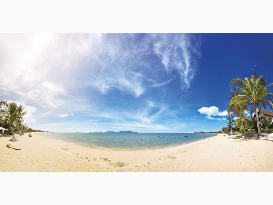 Fototapeta Plaża z palmami i błękitnym niebem na wymiar