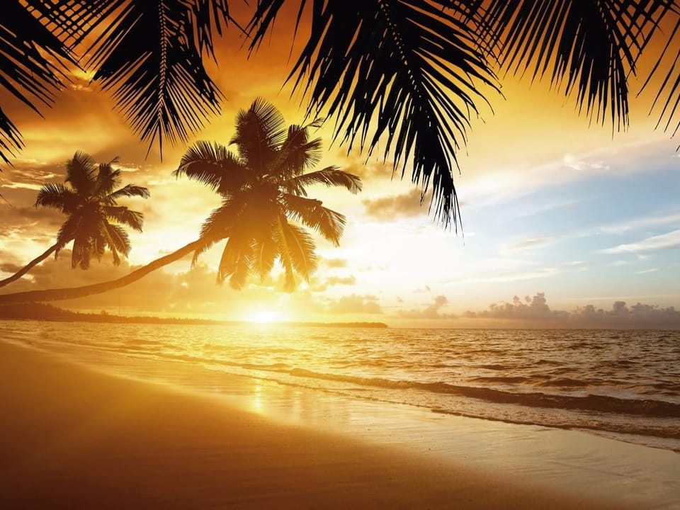 Fototapeta Palmy i zachód słońca na plaży