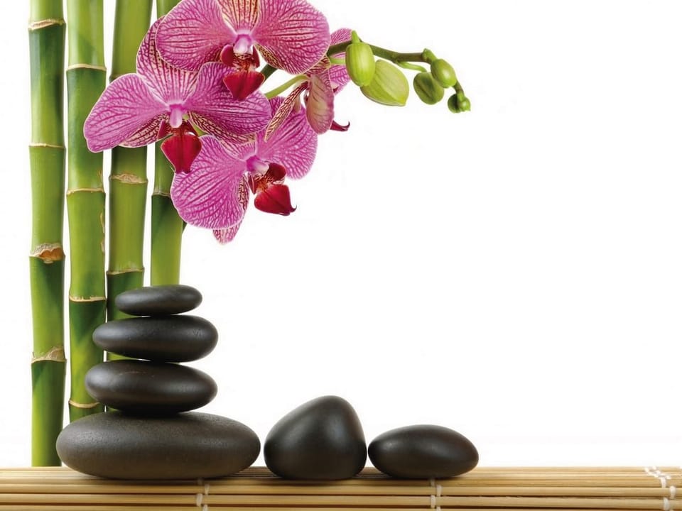 Fototapeta Orchidee i Kamienie w Harmonii na wymiar