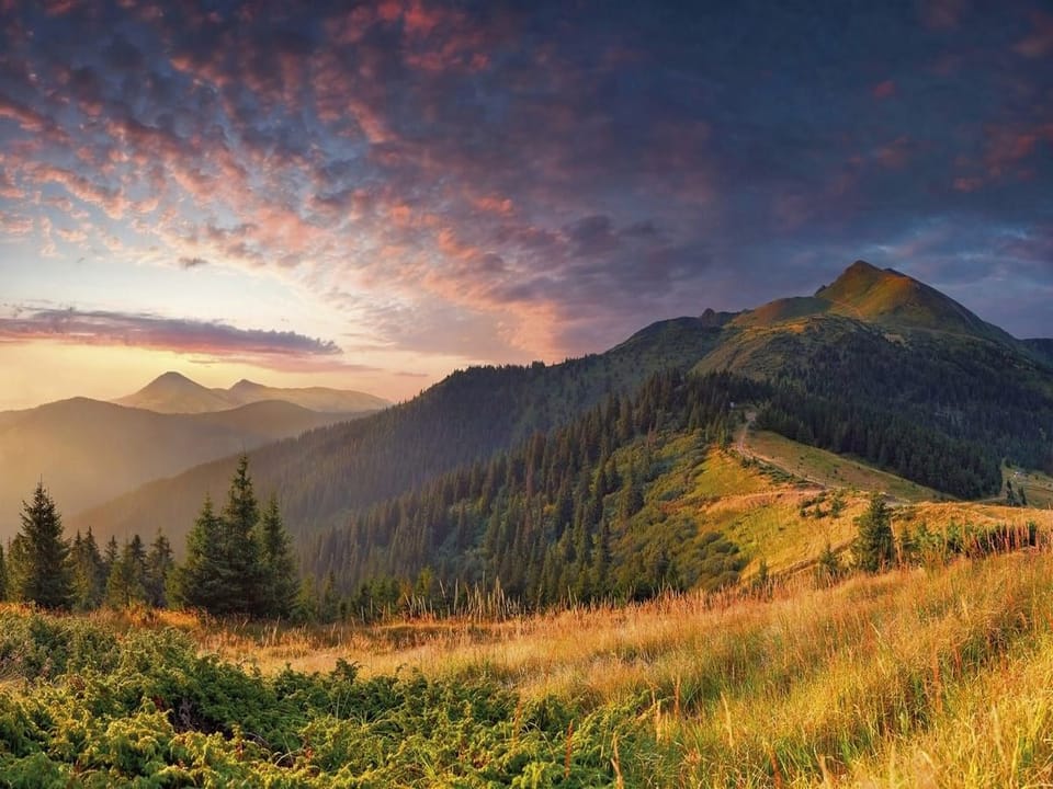 Fototapeta Górski krajobraz z lasem iglastym