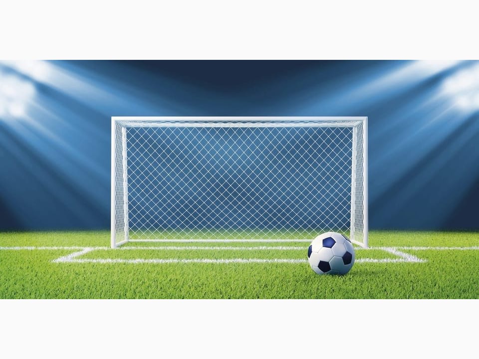 Fototapeta Bramka na zielonej murawie