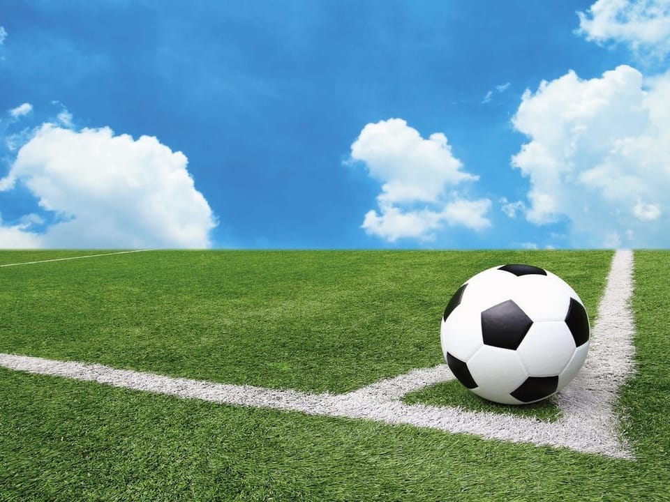 Fototapeta Piłka nożna na zielonym boisku