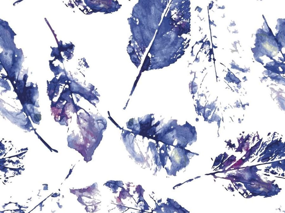 Fototapeta Niebieskie Liście na Białym Tle