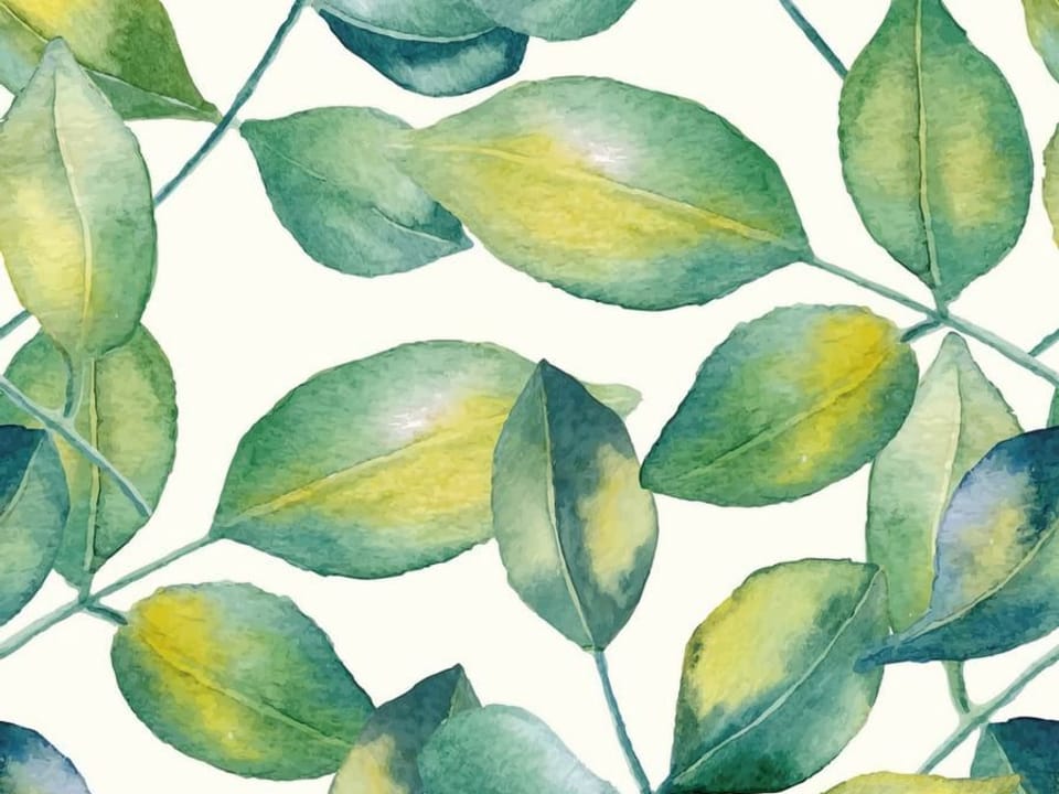 Fototapeta Zielone liście na jasnym tle