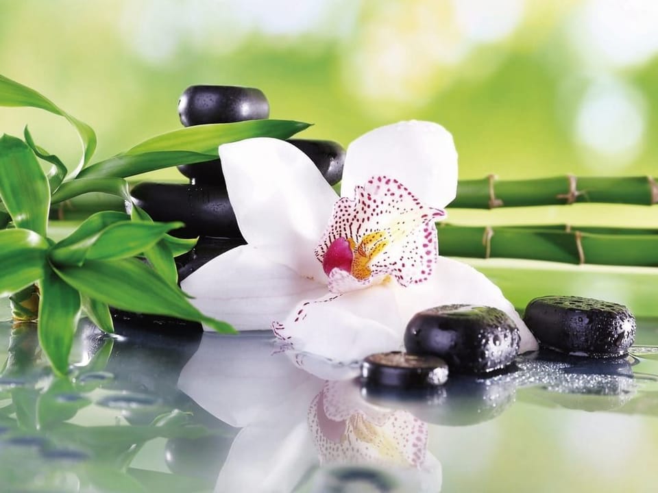 Fototapeta Orchidea i kamienie w harmonii