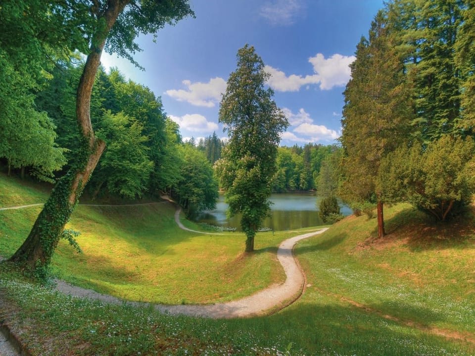 Fototapeta Ścieżka w parku o świcie na wymiar