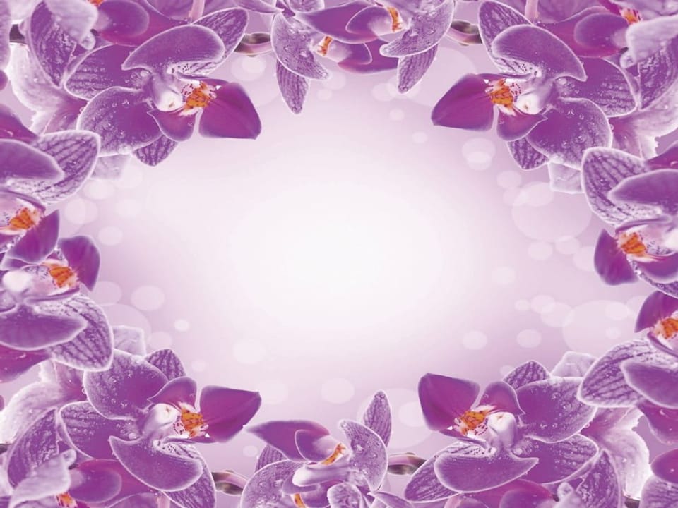 Fototapeta Fioletowe orchidee na brzegu na wymiar
