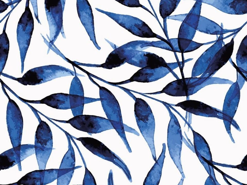 Fototapeta Niebieskie liście na białym tle