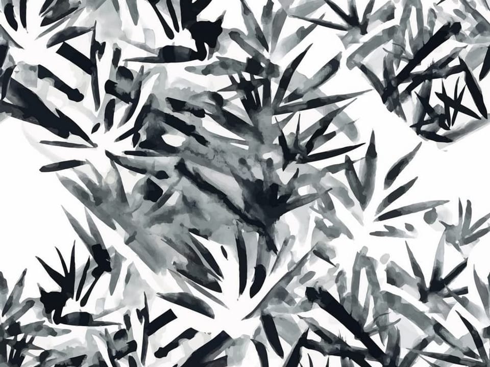 Fototapeta Abstrakcyjne Liście Bambusa