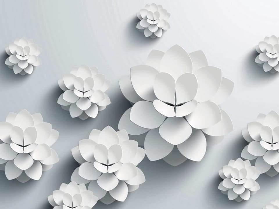 Fototapeta Białe Papierowe Kwiaty 3D