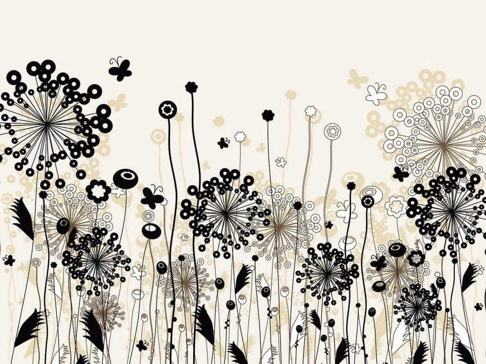 Fototapeta Abstrakcyjne polne kwiaty