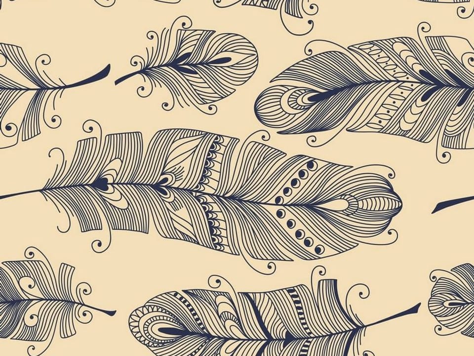 Fototapeta Dekoracyjne pióra na beżowym tle