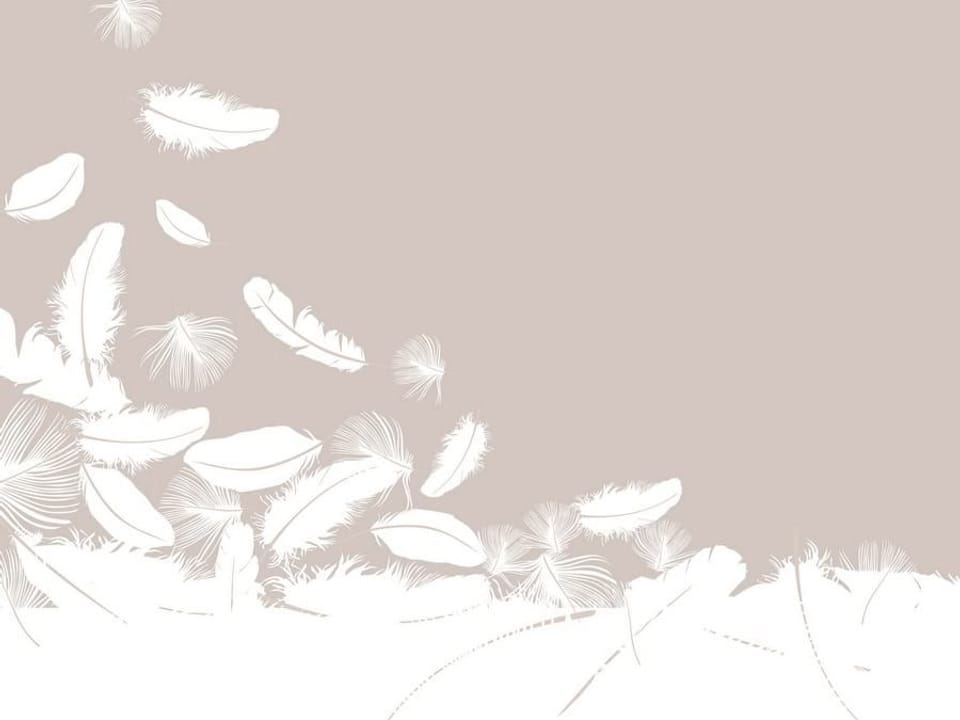 Fototapeta Unoszące się białe pióra