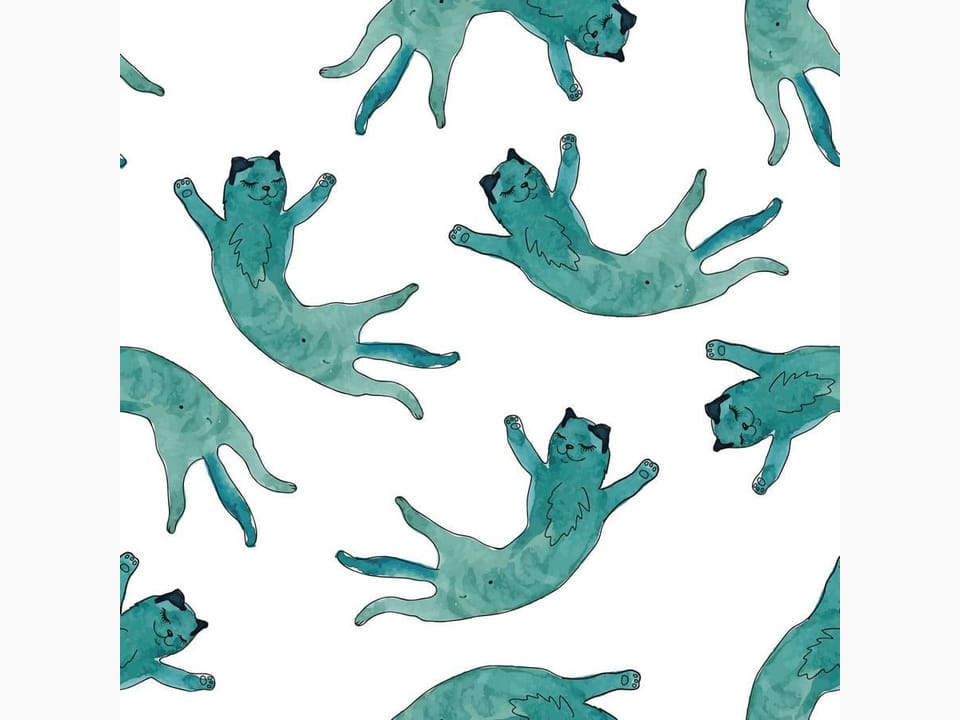 Fototapeta Niebieskie koty na białym tle