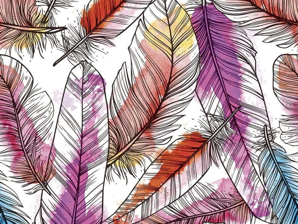 Fototapeta Kolorowe pióra na białym tle