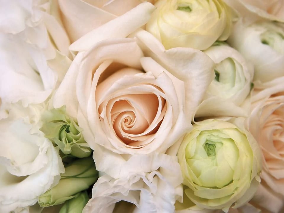 Fototapeta Bukiet jasnych róż i eustom