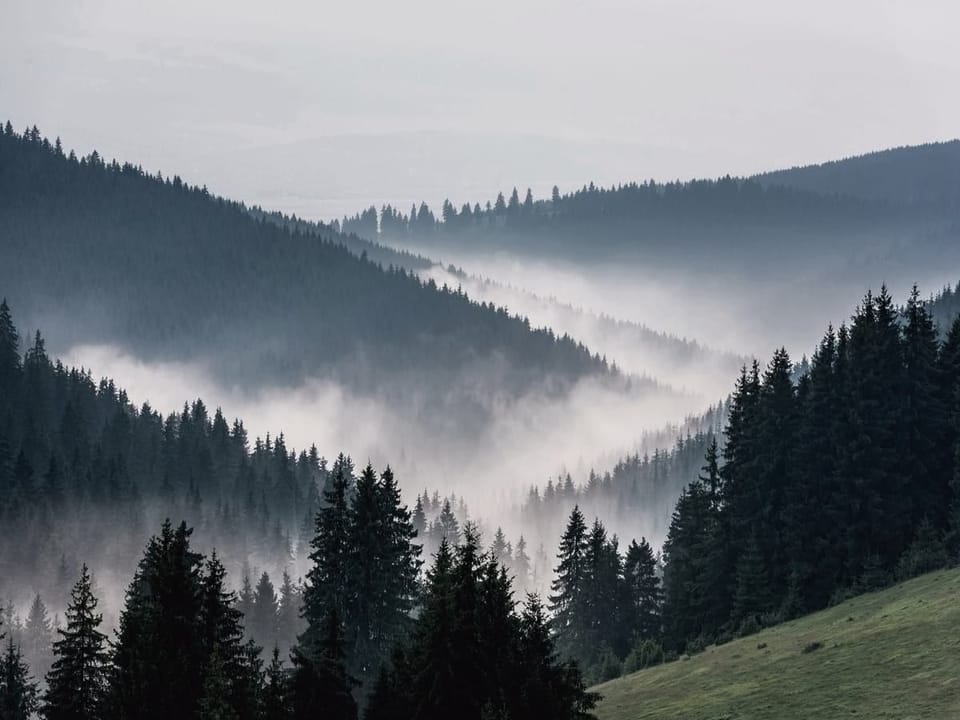 Fototapeta Górski krajobraz z lasem i mgłą