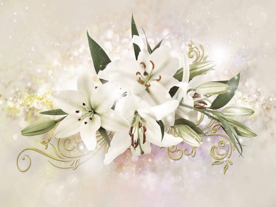 Fototapeta Bukiet Białych Lilii z Liśćmi