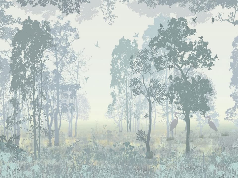 Fototapeta Mglisty las z ptakami
