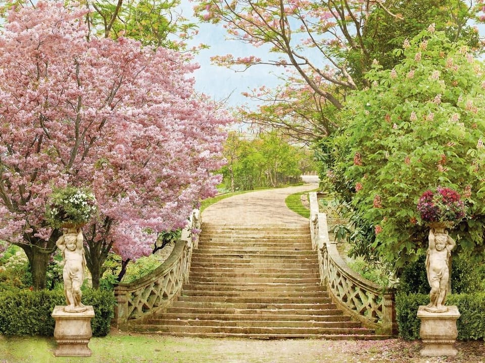 Fototapeta Kamienne schody w ogrodzie