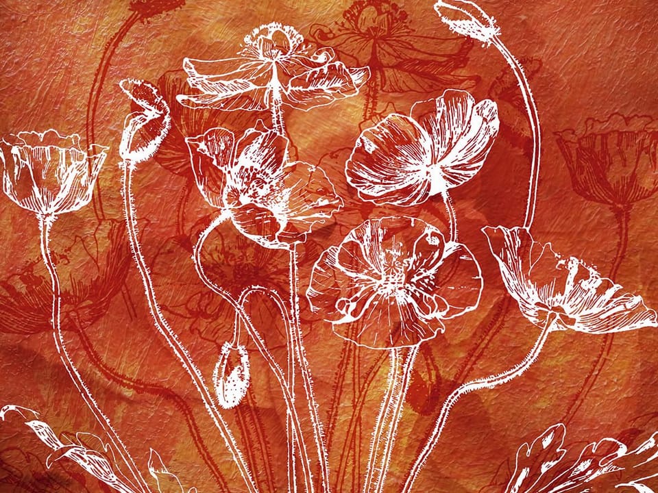 Fototapeta Białe kontury maków na czerwonym tle