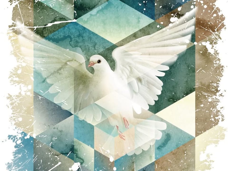 Fototapeta Biały gołąb na akwarelowym tle