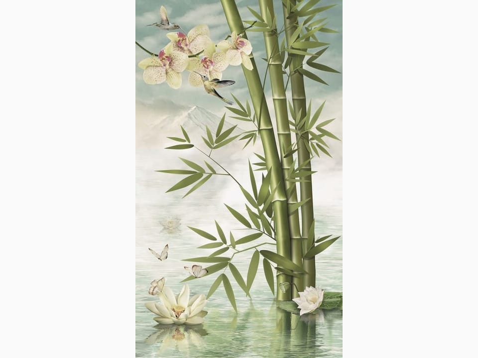 Fototapeta Bambus i Orchidee nad Wodą