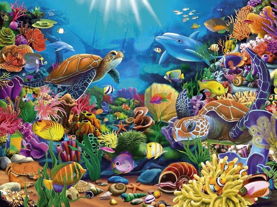 Fototapeta Żółwie morskie i rafy koralowe