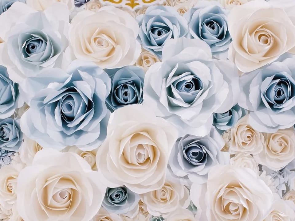 Fototapeta Bukiet Pastelowych Róż