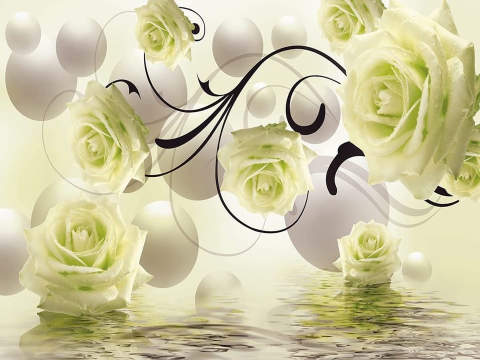 Fototapeta Białe róże na abstrakcyjnym tle