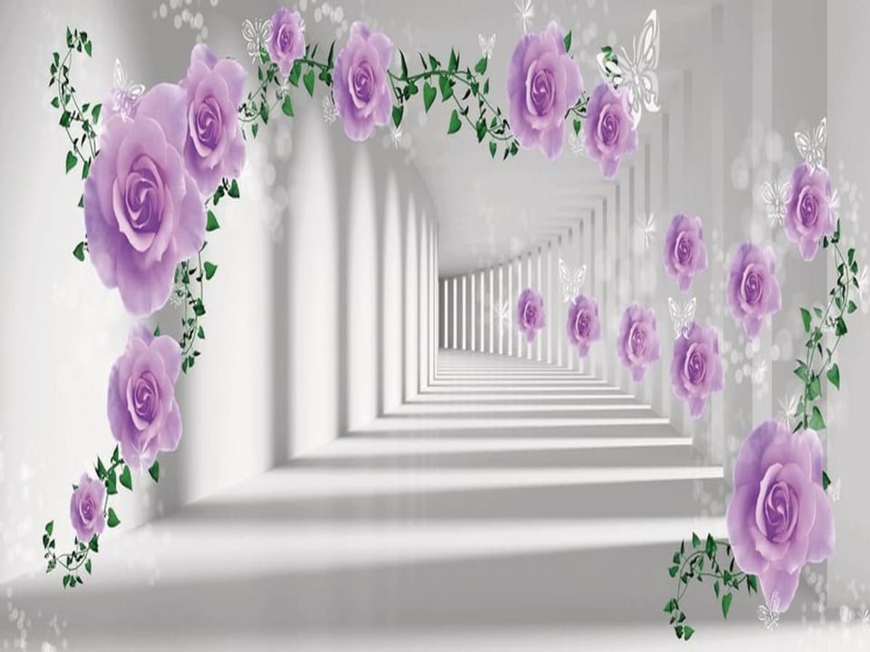 Fototapeta Fioletowe róże w białym korytarzu