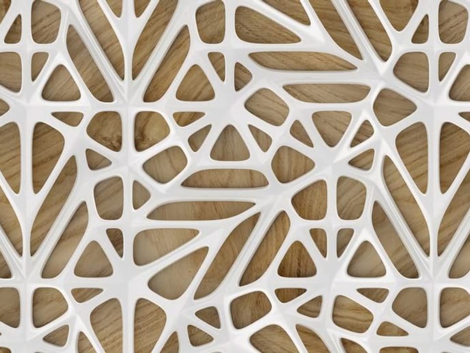 Fototapeta Ażurowa struktura na drewnie