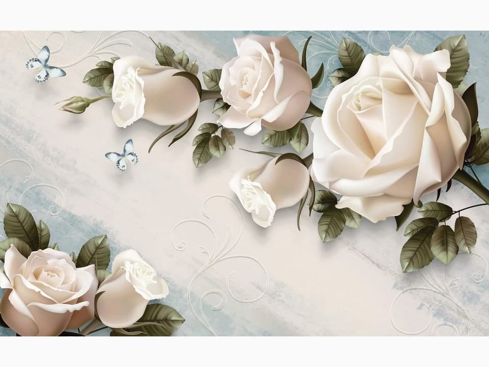 Fototapeta Białe róże z zielonymi liśćmi