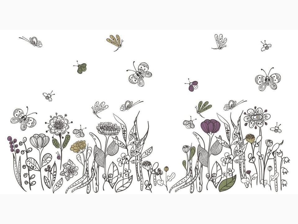 Fototapeta Kwiaty polne na białym tle