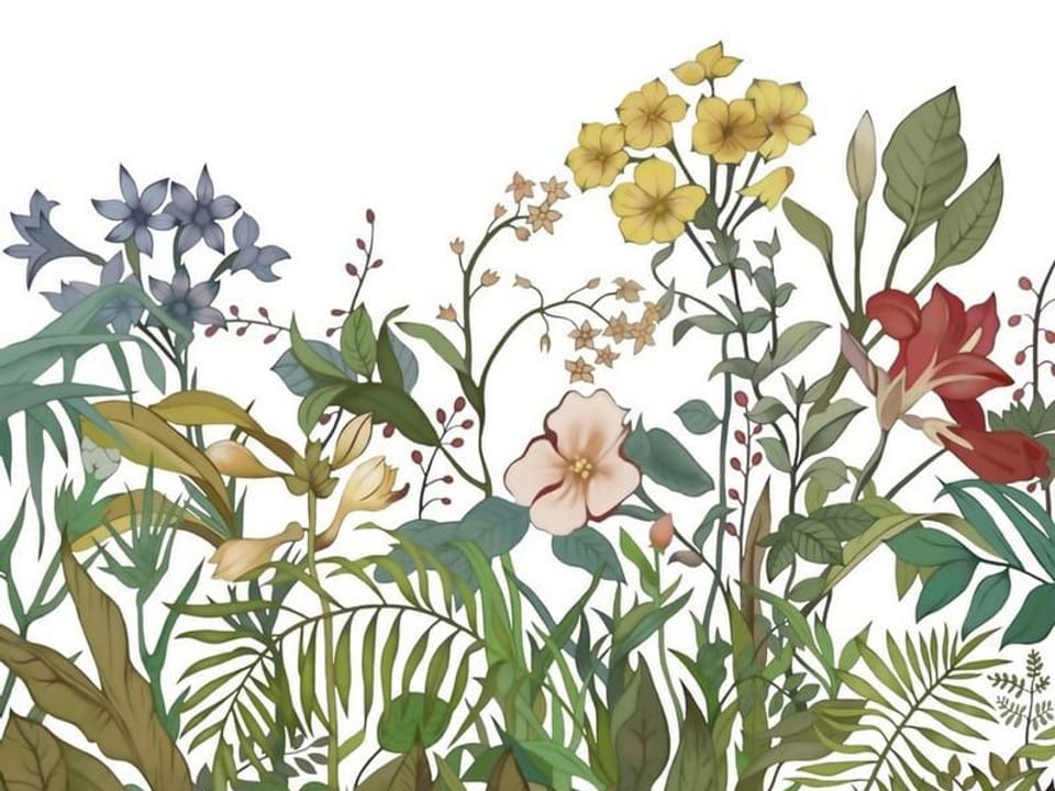 Fototapeta Kolorowe kwiaty na białym tle