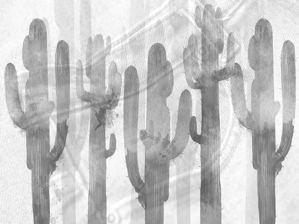 Fototapeta Sylwetki Kaktusów na Teksturze