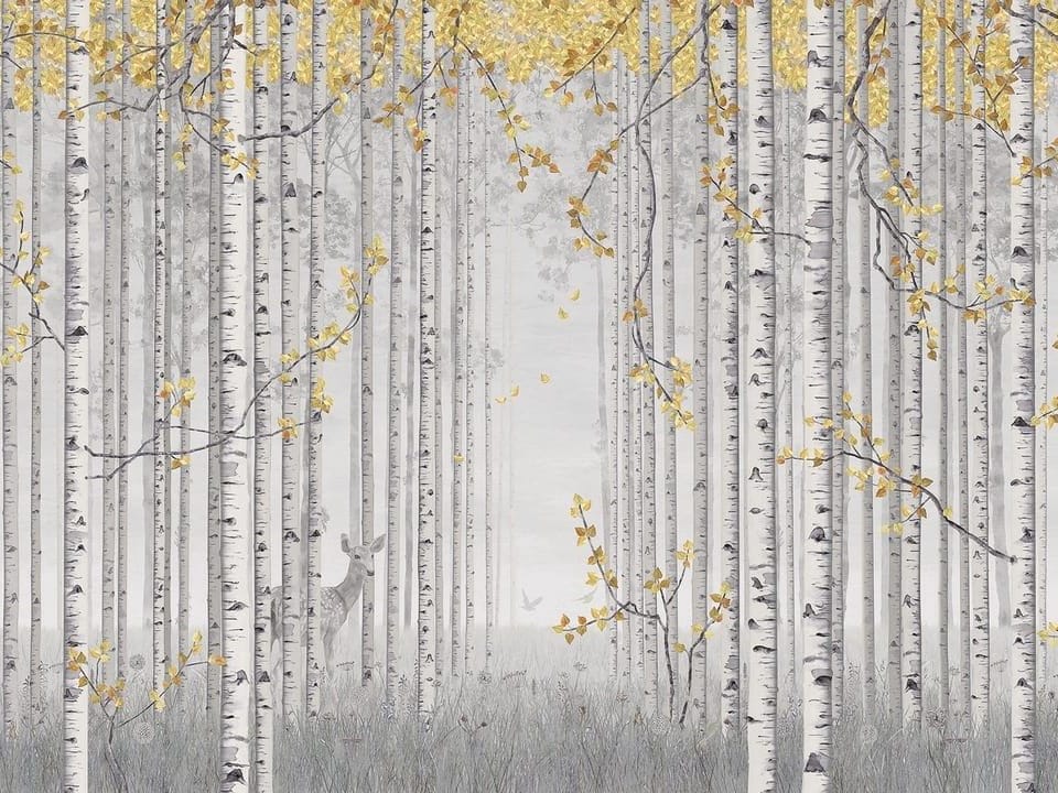 Fototapeta Las brzozowy z żółtymi liśćmi