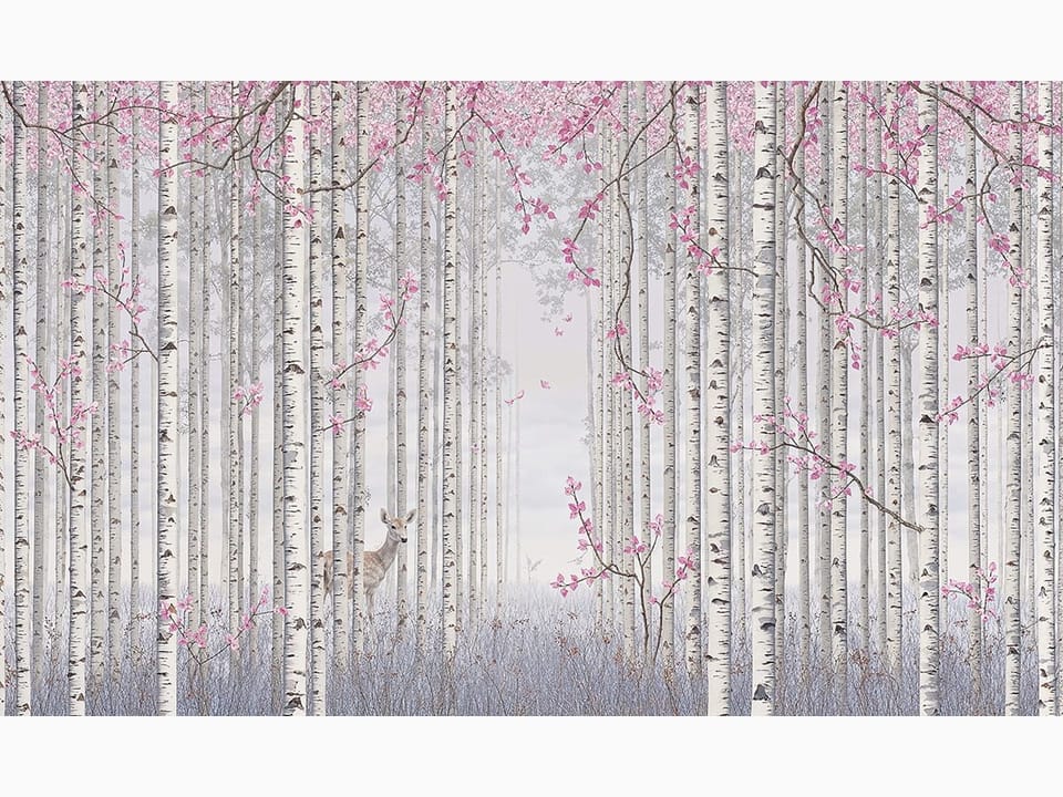 Fototapeta Las brzozowy z różowymi kwiatami