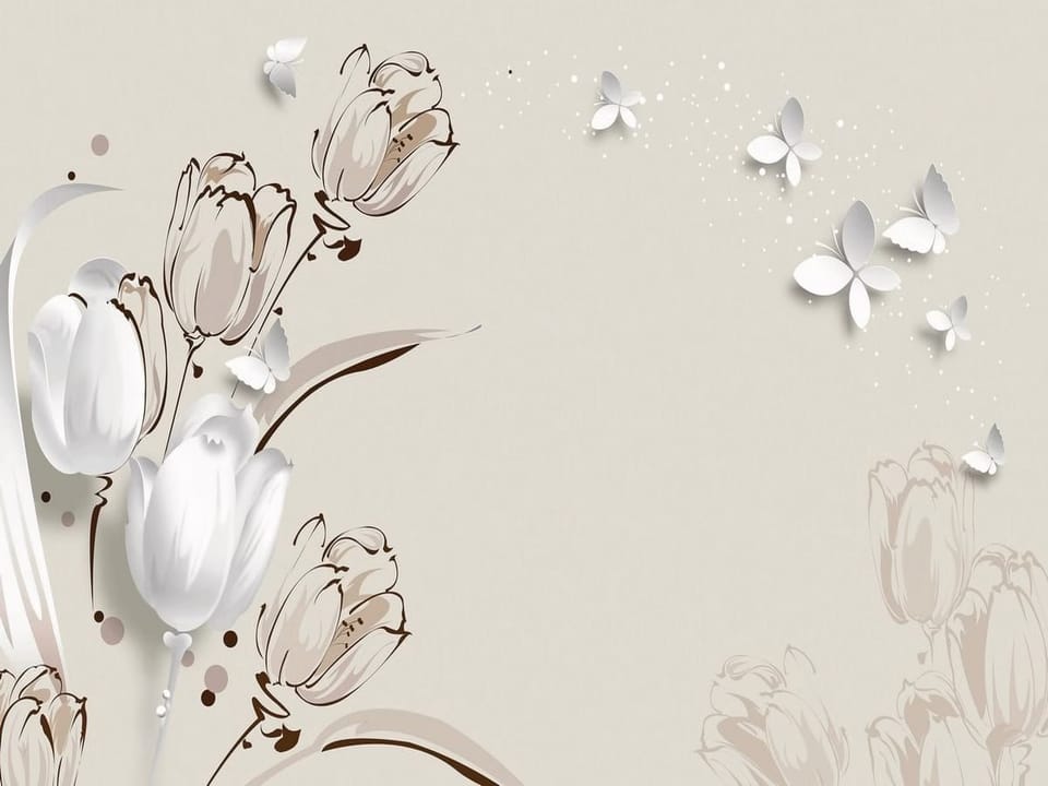 Fototapeta Białe tulipany na beżowym tle