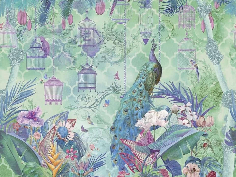 Fototapeta Pawi ogon w tropikalnej scenerii