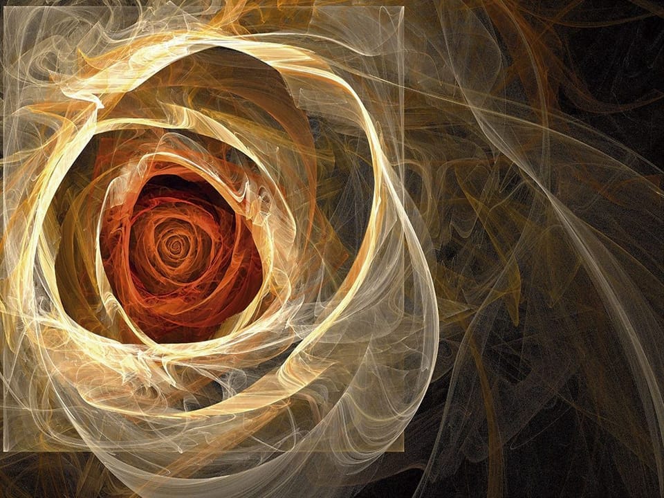 Fototapeta Abstrakcyjna spirala z różami