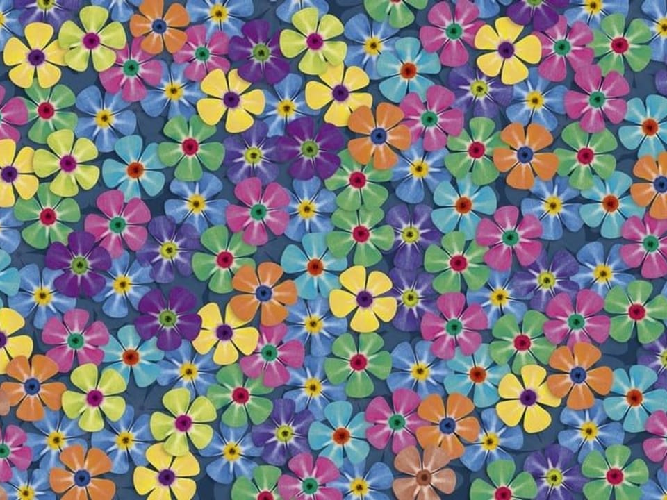 Fototapeta Kolorowe kwiaty na ciemnym tle