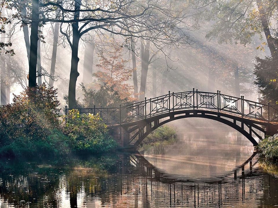 Fototapeta Mostek nad spokojną wodą na wymiar
