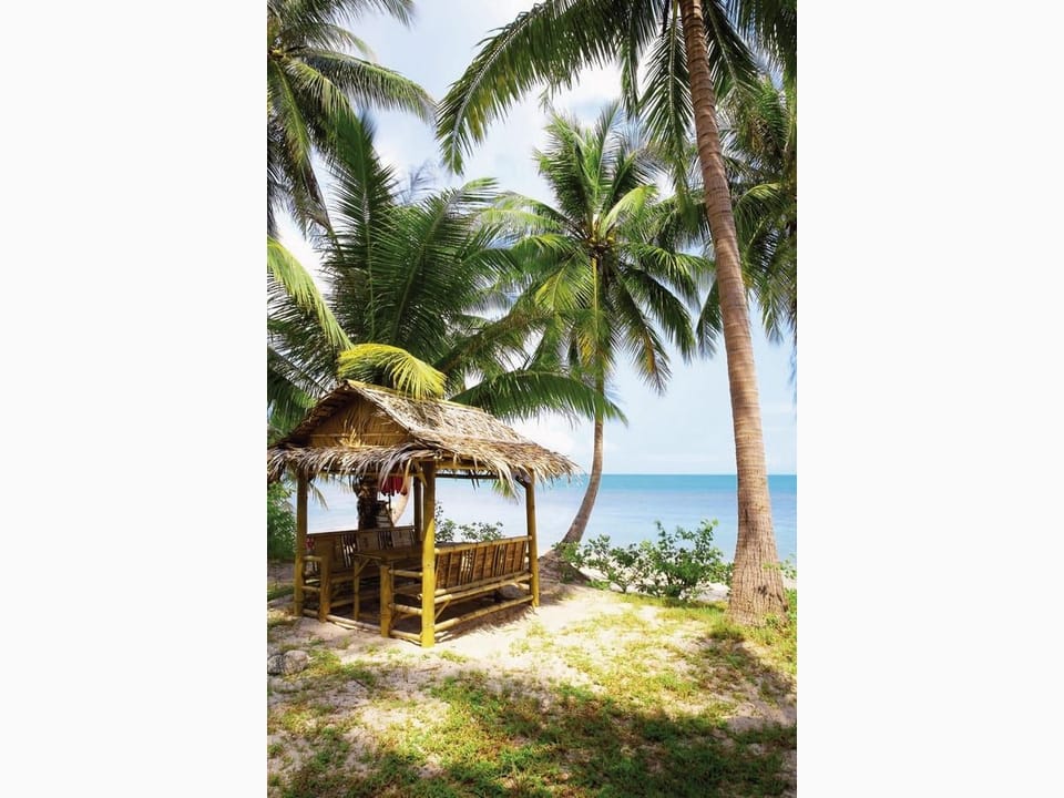 Fototapeta Altana na plaży z palmami