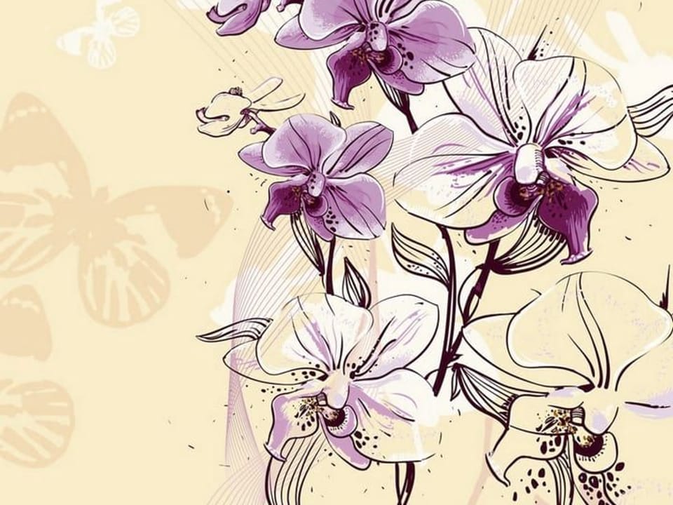 Fototapeta Fioletowe orchidee na łodydze na wymiar