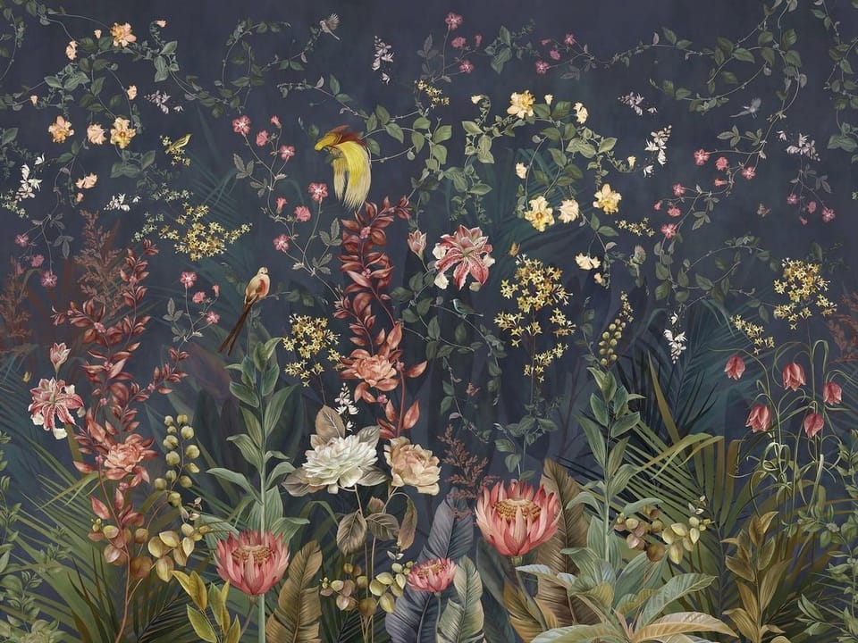 Fototapeta Kwiaty polne na ciemnym tle